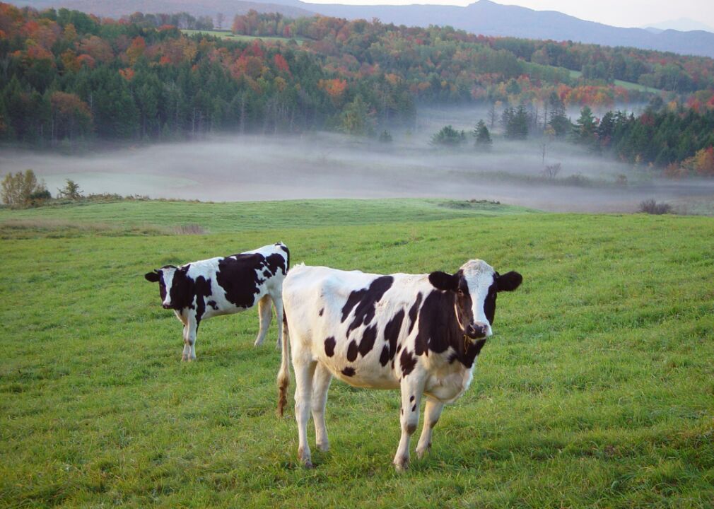 Vermont: Franklin
